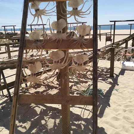 Apartment Martins Nazaré Land`s Hause